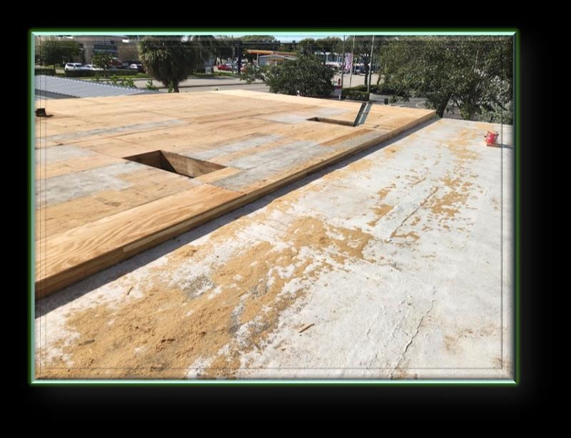 New plywood roof deck installed over commercial flat roof with skylight openings framed – Artisan Roof Specialists