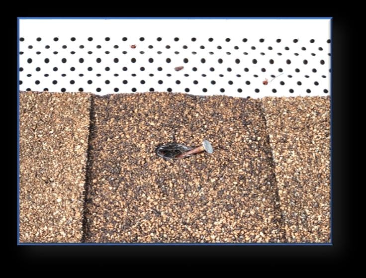 Close-up of a nail pop on an asphalt shingle roof showing a rusted tin cap and hole where water can enter – Artisan Roof Specialists