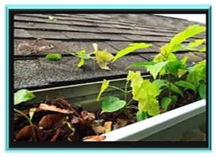 Clogged gutter water overflow roof drainage
