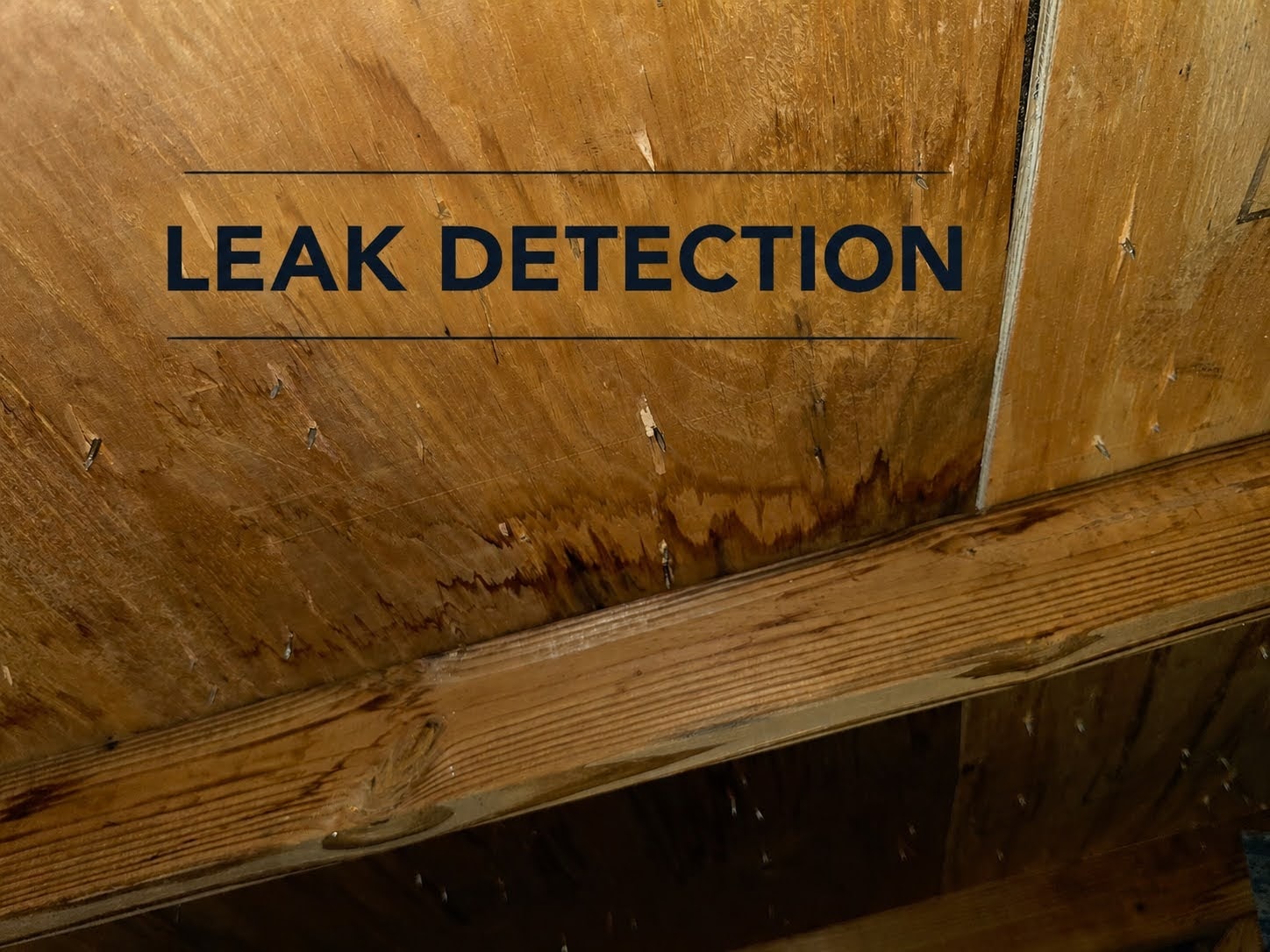 Leak Detection & Repairs
